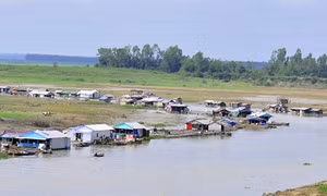 Lênh đênh cuộc sống làng bè trên sông La Ngà