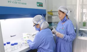 Người phụ nữ có nhiều sáng chế từ sản phẩm dừa