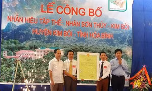 Hòa Bình công bố nhãn hiệu tập thể “Nhãn Sơn Thủy”