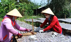 Nghề làm cá khô bổi ở Cà Mau