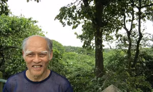 Kỳ thú vườn cò Bằng Lăng