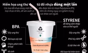 Hiểm họa ung thư từ đồ nhựa dùng một lần