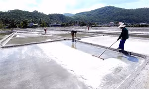 Nhọc nhằn hạt muối Sa Huỳnh