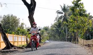 Những công trình mang đến niềm vui