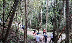 Phú Quốc (Kiên Giang) hướng đến du lịch xanh