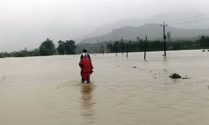 Thủ tướng gửi thư khen các cô giáo Trường Mầm non xã An Hiệp, huyện Tuy An, tỉnh Phú Yên