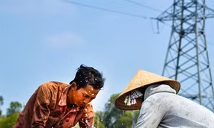 Người dân Cà Mau ồ ạt khoan giếng để lấy nước sử dụng