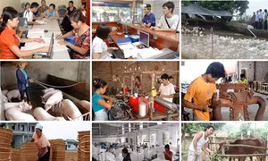 Nhìn lại một năm thực hiện tín dụng chính sách của Ngân hàng Chính sách Xã hội