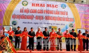 Khai mạc lễ hội cam Cao Phong lần thứ 2