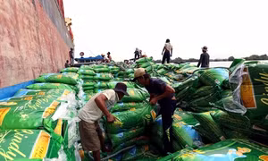 Kim ngạch xuất khẩu nông, lâm, thủy sản 4 tháng đầu năm 2016 tăng 11%