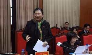 Đồng chí Tòng Thị Phóng và các nữ Trưởng đại diện cơ quan nước ngoài, nữ Đại sứ các nước thăm, làm việc tại tỉnh Sơn La