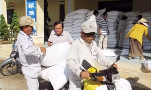 Cấp phát hơn 3.874 tấn gạo cứu đói cho nhân dân vùng hạn Ninh Thuận