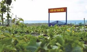 Màu xanh trên quần đảo Trường Sa