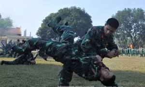 Trung đoàn 209 ra quân huấn luyện