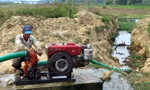Kiên Giang chủ động phòng chống khô hạn xâm nhập mặn gây hại sản xuất mùa khô 2016 - 2017