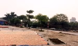 Nan giải kiểm soát chất lượng dược liệu