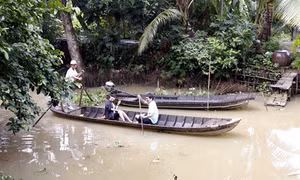 Cần Thơ: Hấp dẫn tour du lịch cộng đồng ở Cồn Sơn
