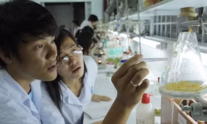 Đại học Huế giảm 50% học phí cho sinh viên các tỉnh miền Trung bị ảnh hưởng sự cố môi trường biển