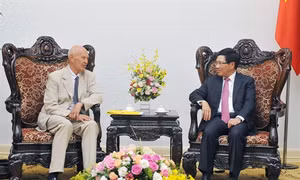Hoạt động của Lãnh đạo Đảng, Nhà nước