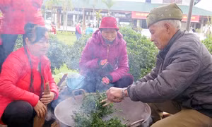 Thái Nguyên: Khai hội Hương sắc Trà Xuân năm 2016