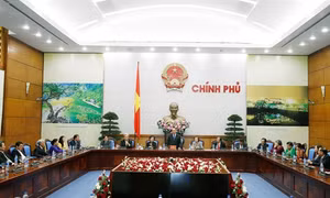 Nghị quyết của Chính phủ về cải thiện môi trường kinh doanh, nâng cao năng lực cạnh tranh quốc gia