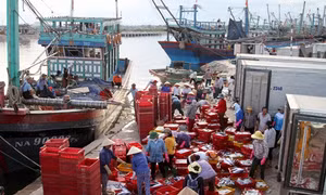 "Đội tàu 67" ra khơi bám ngư trường truyền thống Hoàng Sa, Trường Sa