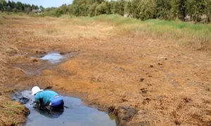 Nước mặn tấn công các khu bảo tồn ngập nước Ramsar