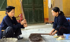 Nghề làm giấy bản ở Trường Hà