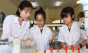 Bộ Giáo dục và Đào tạo trình Thủ tướng Đề án hoàn thiện hệ thống giáo dục quốc dân