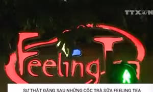 Sự thật đằng sau những cốc trà sữa Feeling Tea