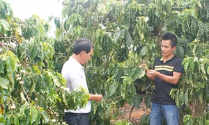 Thay đổi thói quen canh tác vì môi trường xanh