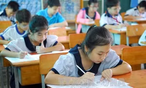 Tuyệt đối không giao bài tập về nhà cho học sinh tiểu học