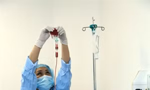Ghép tế bào gốc, hồi sinh những cuộc đời