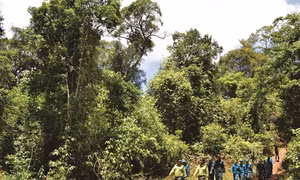 Kon Tum - tăng cường quản lý và bảo vệ rừng