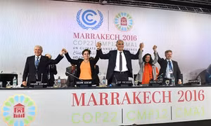 Hội nghị COP22 ra tuyên bố kêu gọi cam kết chính trị cao nhất