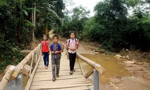 Nông dân nghèo làm cầu cho học sinh tới lớp