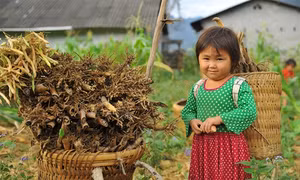 Quẩy tấu - nét đẹp của người dân vùng cao