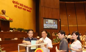 Đại biểu Quốc hội bỏ phiếu bầu Chủ tịch Quốc hội, Phó Chủ tịch Quốc hội, Ủy viên Ủy ban thường vụ Quốc hội.