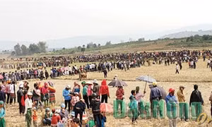 Bon làng vui hội mùa xuân