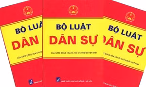 1 Bộ Luật và 6 Luật có hiệu lực thi hành từ 1/1/2017