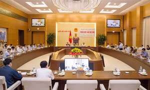 Hội đồng bầu cử quốc gia không xác nhận tư cách đại biểu Quốc hội đối với bà Nguyễn Thị Nguyệt Hường vì không đủ tiêu chuẩn