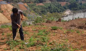 Bước đi chắc trong thực hiện chính sách dân tộc