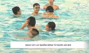 Nguy cơ lây nhiễm bệnh từ nước bể bơi