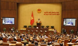 Đại biểu Quốc hội nghe báo cáo tổng kết công tác nhiệm kỳ