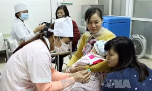 Nên tiêm vắc xin Quinvaxem để phòng bệnh
