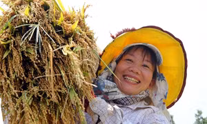 Đổi thay trên quê hương những người mang họ Bác Hồ: Bài 1 - Hồi sinh vùng "đất chết" A Ngo