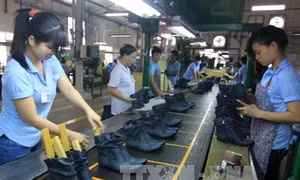Nhiều cơ hội lớn cho ngành da giầy Việt Nam