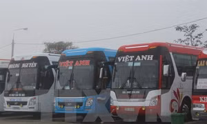 Hà Nội tạm đình chỉ Phó phòng Quản lý vận tải