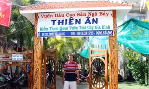 Những điểm đến ngày xuân
