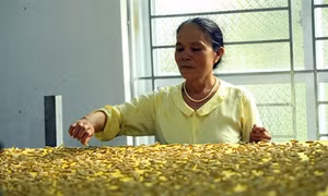 Nghệ nhân ưu tú Phan Thị Thuận - người gìn giữ và phát triển nghề nuôi tằm dệt lụa truyền thống của quê hương